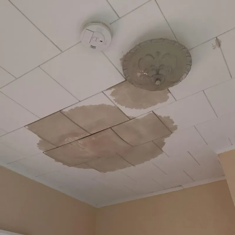 Ceiling Water Damage Repair in Tenino, WA