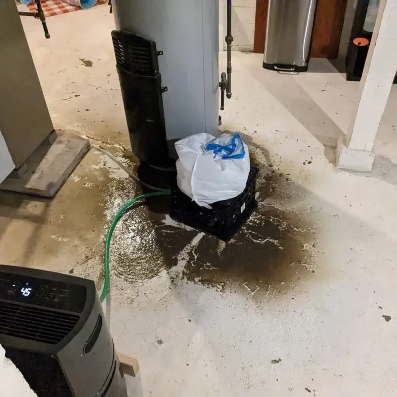 Sewage Backup Cleanup Service in Tenino, WA
